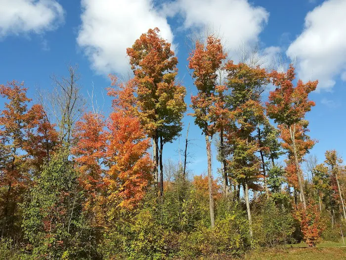 Chippewa Landing 5