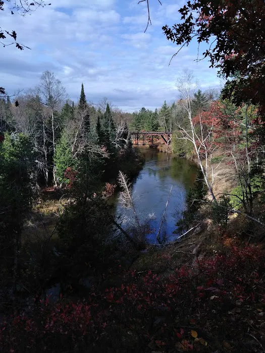 Old US 131 State Forest Campground 7