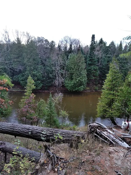 Old US 131 State Forest Campground 4