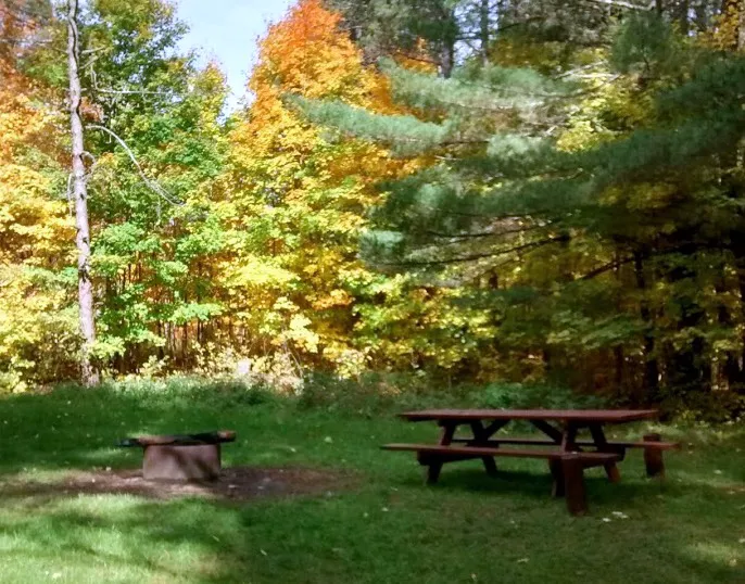 Baxter Bridge State Forest Campground 7