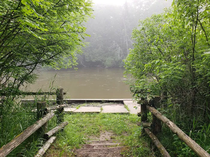 Baxter Bridge State Forest Campground 6