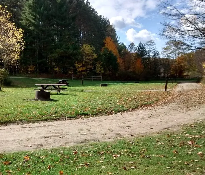 Baxter Bridge State Forest Campground 5