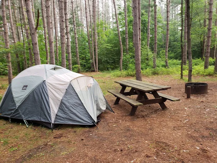 Baxter Bridge State Forest Campground 2