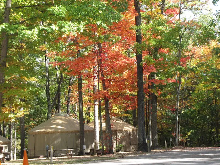The Higgins Lake Campground 6