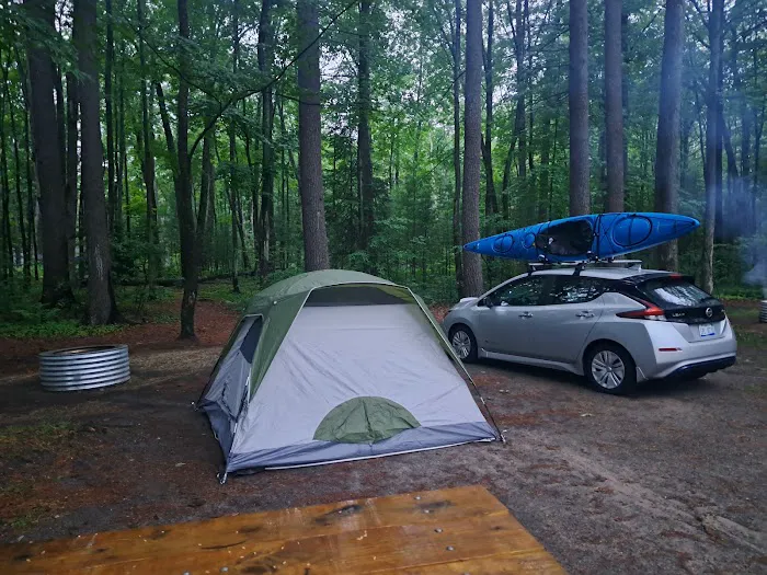 Higgins Lake State Park West Campground 7