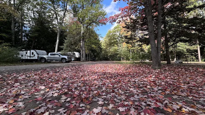 Higgins Lake State Park West Campground 4