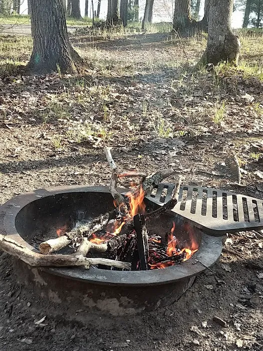 Island Lake Campground 10