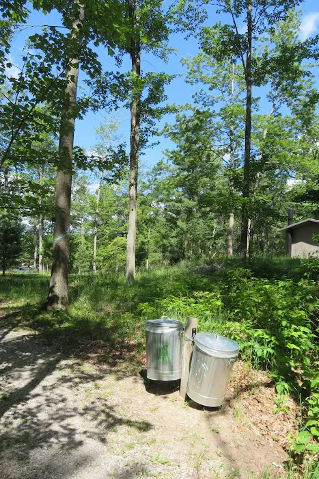 Island Lake Campground 7
