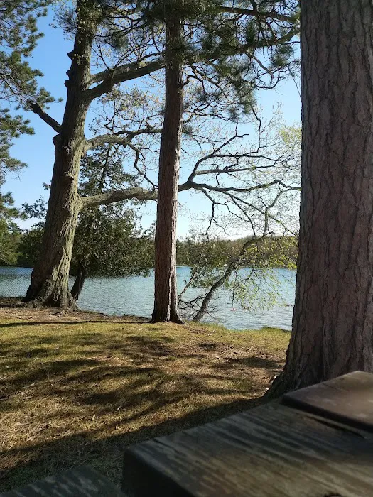 Island Lake Campground 6