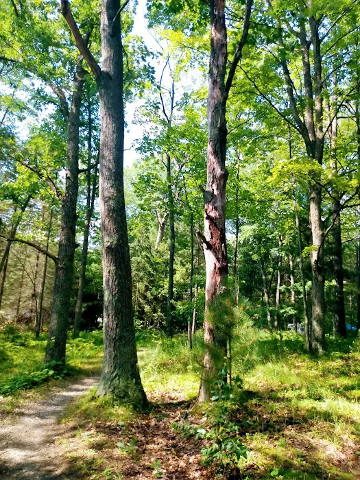 Island Lake Campground 9