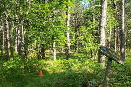 Luzerne Trail Camp