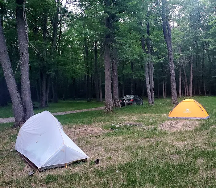 Luzerne Trail Camp 2
