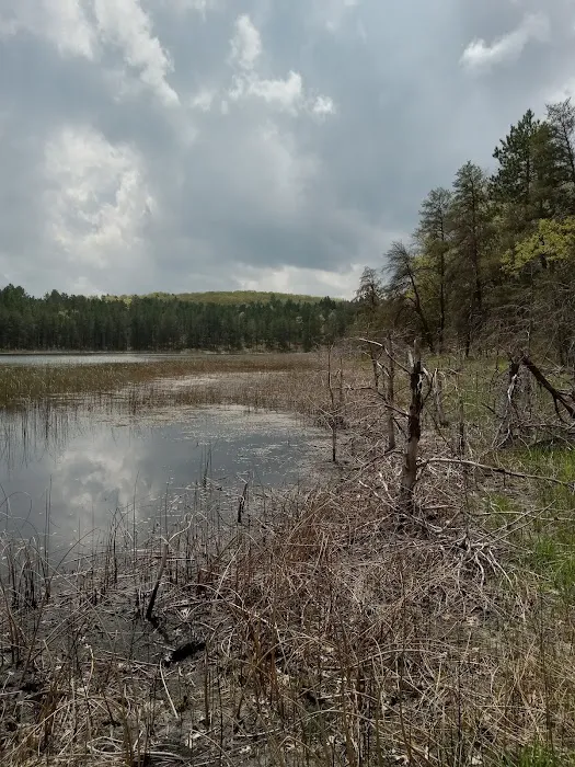 Wagner Lake Campground 8