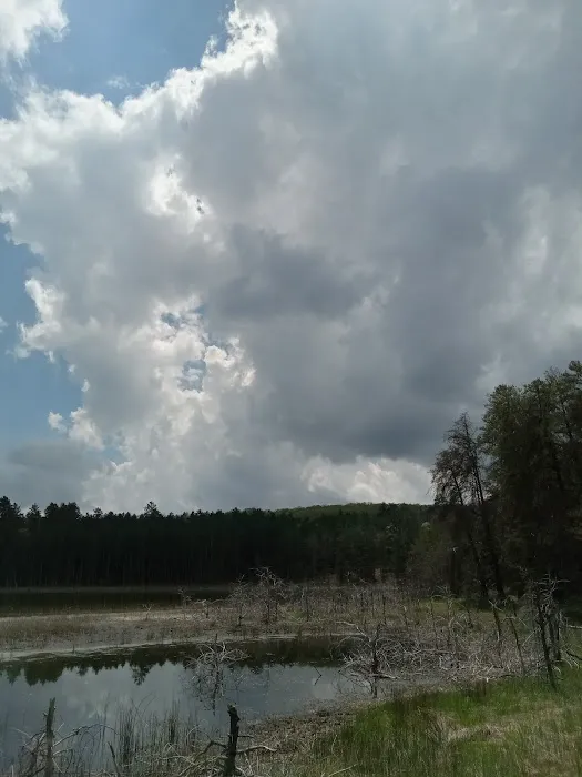 Wagner Lake Campground 7