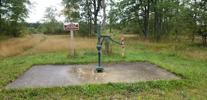 4 Mile State Forest Trail Camp 5