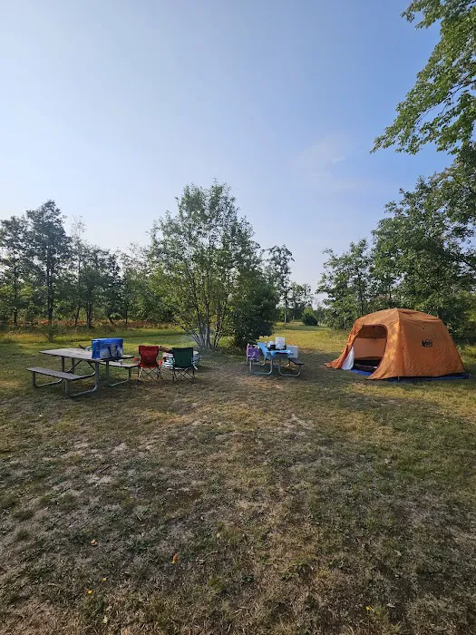 4 Mile State Forest Trail Camp 1