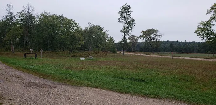 4 Mile State Forest Trail Camp 6