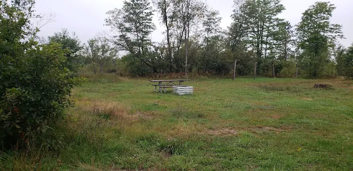 4 Mile State Forest Trail Camp 3