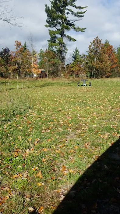 4 Mile State Forest Trail Camp 9