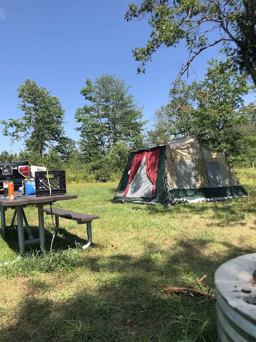 4 Mile State Forest Trail Camp 7