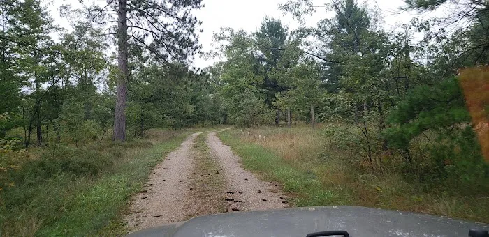 4 Mile State Forest Trail Camp 4