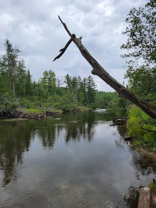 South Branch Campground 8