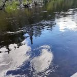Canoe Harbor State Forest Campground