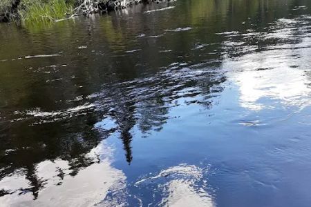 Canoe Harbor State Forest Campground