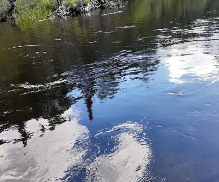 Canoe Harbor State Forest Campground