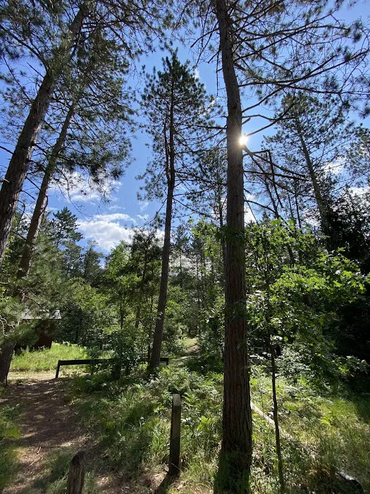 Canoe Harbor State Forest Campground 3