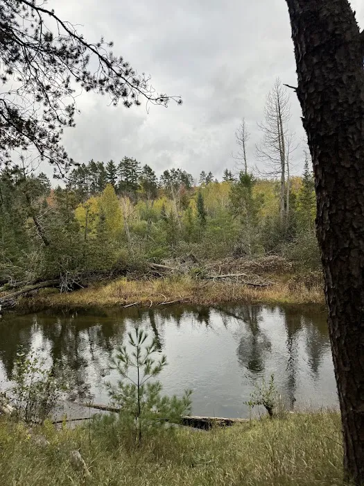 Canoe Harbor State Forest Campground 5
