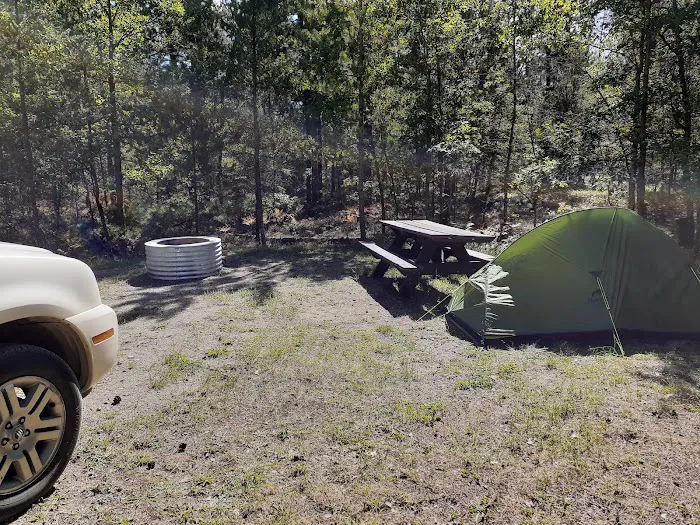 Canoe Harbor State Forest Campground 7