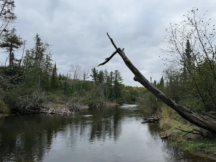 Canoe Harbor State Forest Campground 6