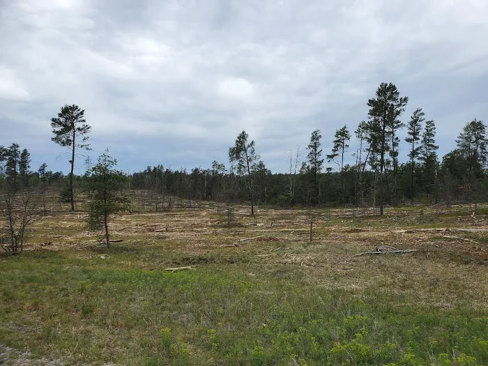 Kneff Lake Campground 8