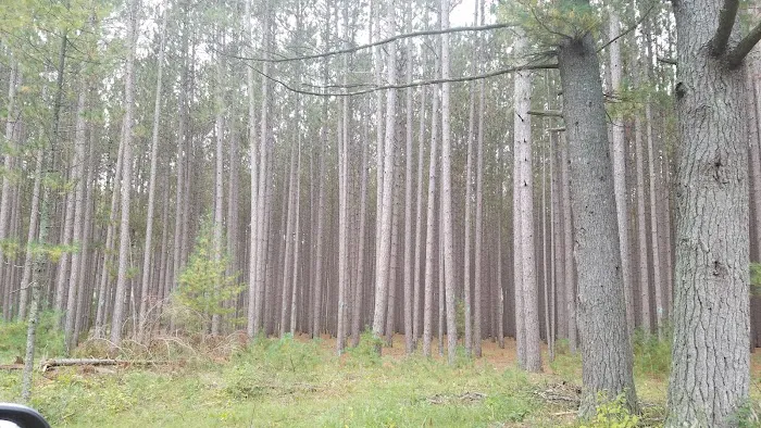 South Branch Trail Camp for the Shore to Shore Horseback and Hiking Trail 4