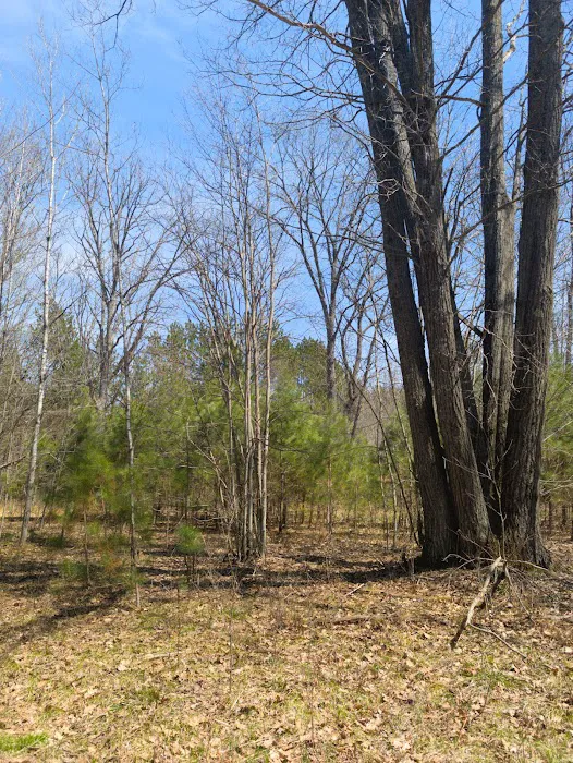 South Branch Trail Camp for the Shore to Shore Horseback and Hiking Trail 3
