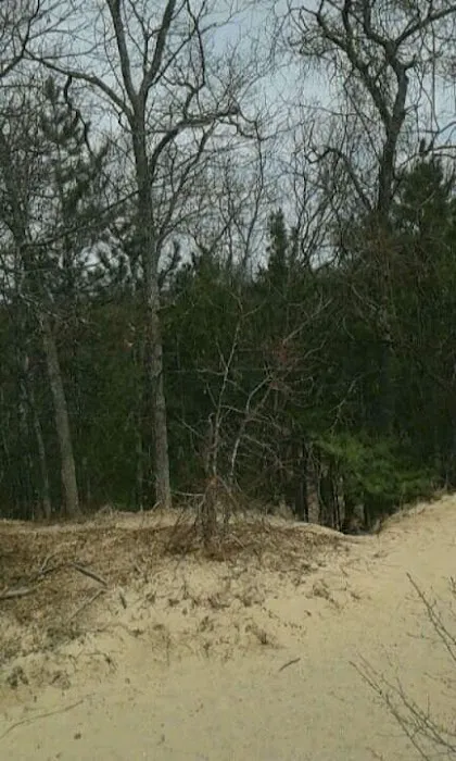 South Branch Trail Camp for the Shore to Shore Horseback and Hiking Trail 1