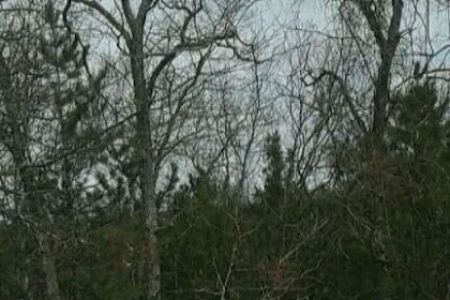 South Branch Trail Camp for the Shore to Shore Horseback and Hiking Trail