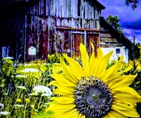 Westgate Trails Trailer Park