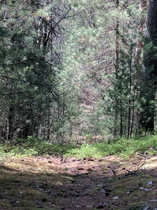 Silver Valley Trailhead 5