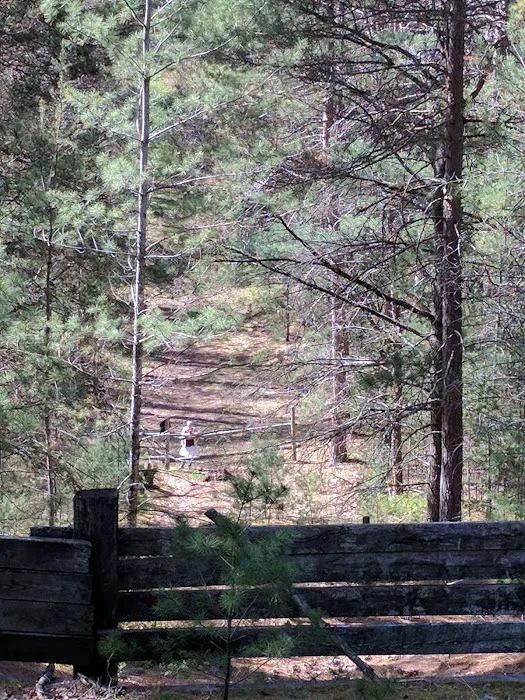 Silver Valley Trailhead 2