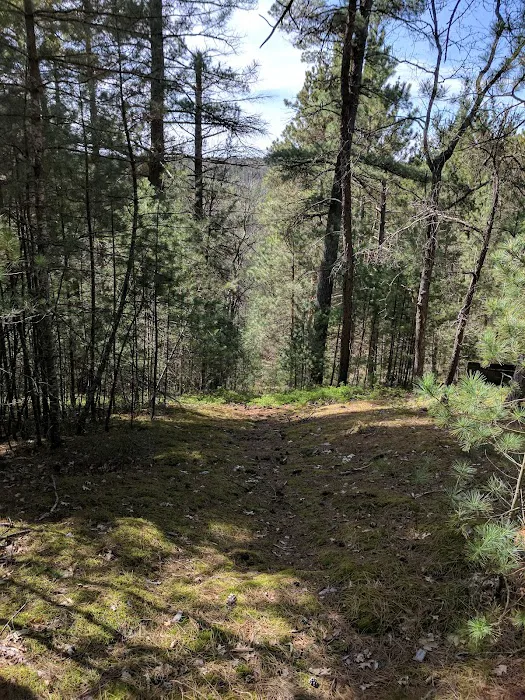 Silver Valley Trailhead 1