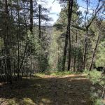 Silver Valley Trailhead
