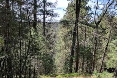Silver Valley Trailhead