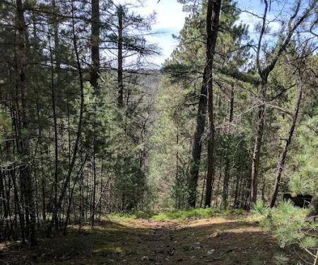 Silver Valley Trailhead