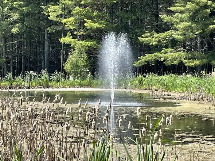 Northern Bear Paw RV Park LLC 10