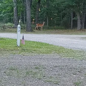 Shady Oaks Campground & RV Park 4