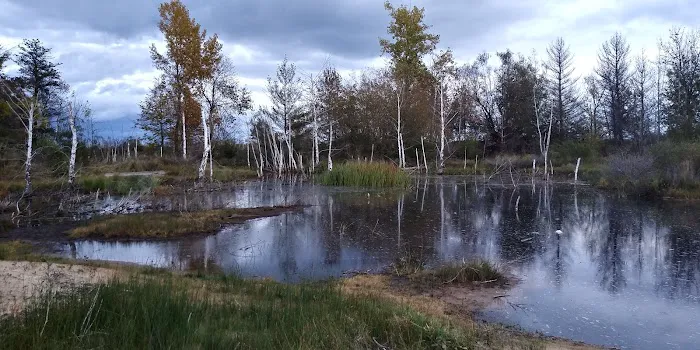 East Tawas City Parks & Rec 2