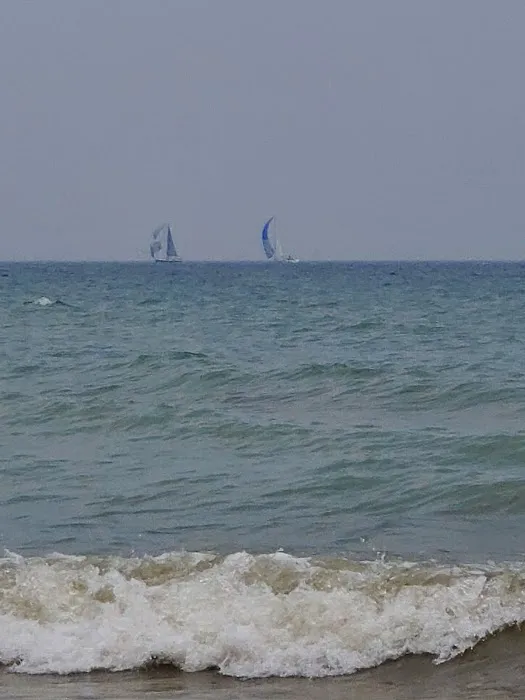 Sanilac County Forester Campground 1