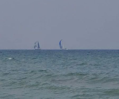 Sanilac County Forester Campground